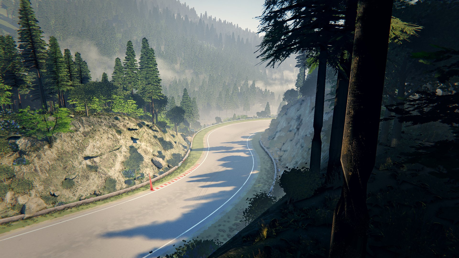 Forest road by day with mist below
